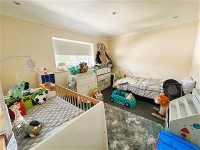 Picture 7